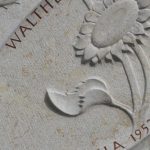 Sonneblume in der Parabel